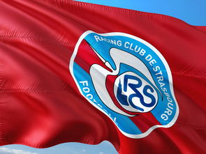 半岛体育培训-帕尔梅拉斯球员积极备战，誓夺更好名次